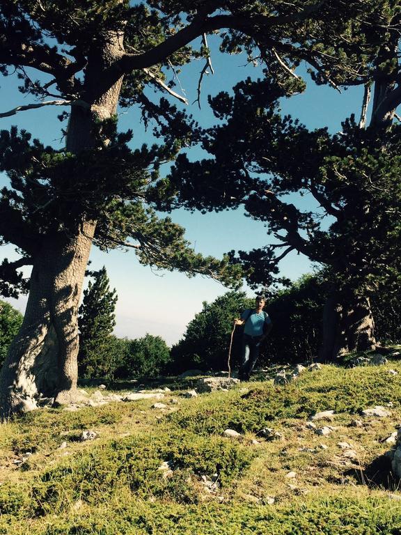 La Stella Del Pollino Hotel San Lorenzo Bellizzi ภายนอก รูปภาพ