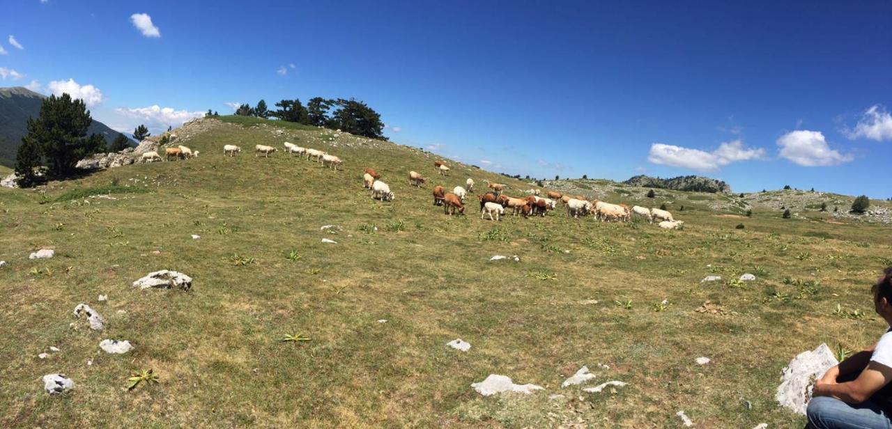 La Stella Del Pollino Hotel San Lorenzo Bellizzi ภายนอก รูปภาพ